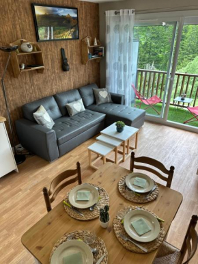 Appartement cosy, parfait pour les familles, entièrement rénové , sans vis à vis, au pied des pistes